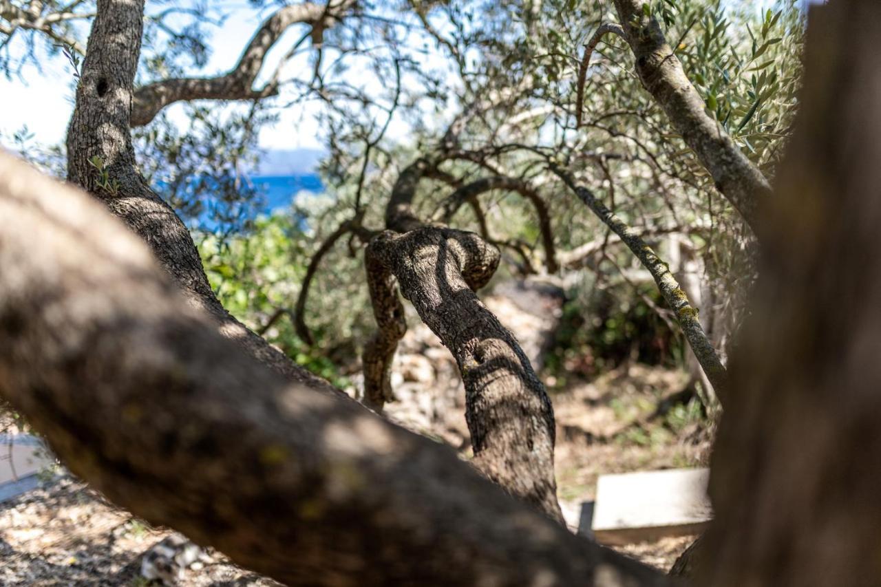 Olive'S Garden House Villa Vela Luka Kültér fotó
