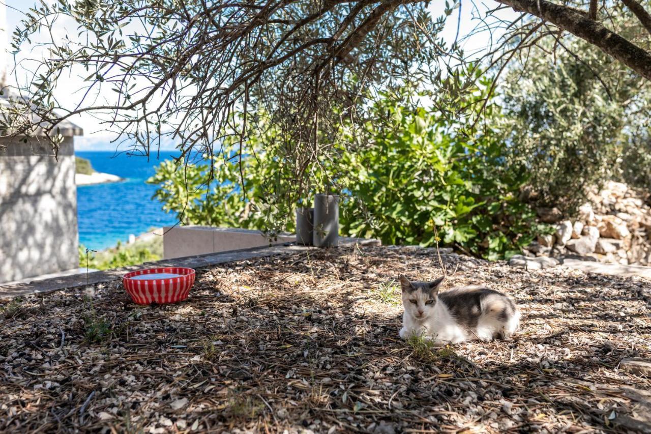 Olive'S Garden House Villa Vela Luka Kültér fotó
